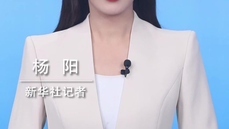 数据服务评测标准有哪些